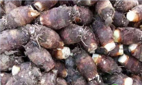 2024年芋头多少钱一斤 2024年芋头多少钱一斤