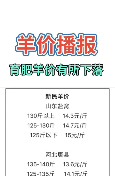 养羊成本多少钱 养羊成本多少钱