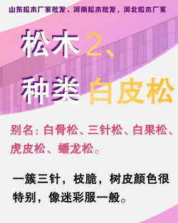 松树的特点是什么 松树的特点是什么