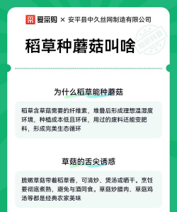 稻草怎么种植香菇 稻草怎么种植香菇