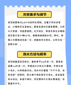 桂花好养活吗 桂花好养活吗