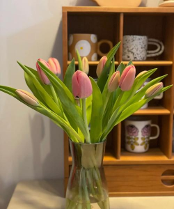 郁金香可以放卧室吗 郁金香可以放卧室吗