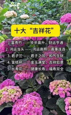 吉利花有哪些品种 吉利花有哪些品种