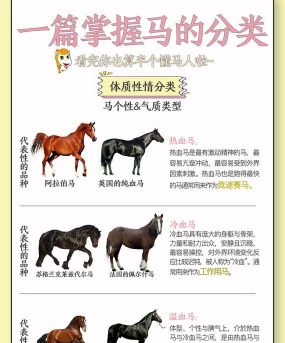 马有什么生活习性 马有什么生活习性