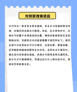 水培水竹怎样养 水培水竹怎样养