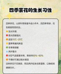茶花的养殖方法和注意事项 茶花的养殖方法和注意事项