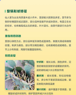 仙人掌的外形特点以及作用 仙人掌的外形特点以及作用