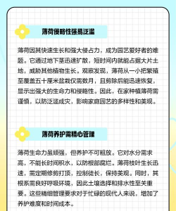 家里为什么不能种薄荷 家里为什么不能种薄荷
