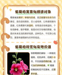 蜀葵花的寓意是什么 蜀葵花的寓意是什么