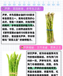 芦笋种植技术 芦笋种植技术