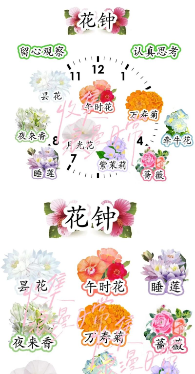 花钟有哪些词语 花钟有哪些词语