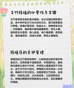文竹怎么种植的 文竹怎么种植的