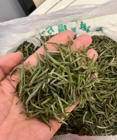 毛尖是绿茶吗 毛尖是绿茶吗