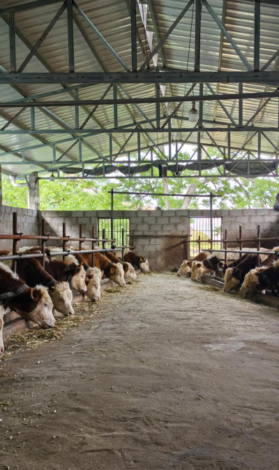 搞养殖业养什么能挣钱 搞养殖业养什么能挣钱