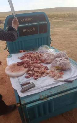 成年羊一般有多重 成年羊一般有多重