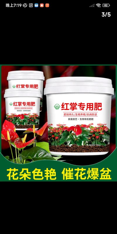 给红掌施什么肥料 给红掌施什么肥料