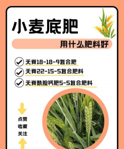 小麦底肥复合肥每亩需要多少公斤 小麦底肥复合肥每亩需要多少公斤