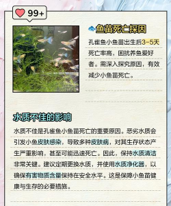 小鱼苗每天都死的原因 小鱼苗每天都死的原因