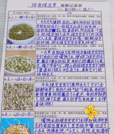 小学生在家怎么种绿豆 小学生在家怎么种绿豆