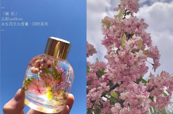 哪些花有精油味道 哪些花有精油味道