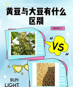 大豆和黄豆的区别 大豆和黄豆的区别