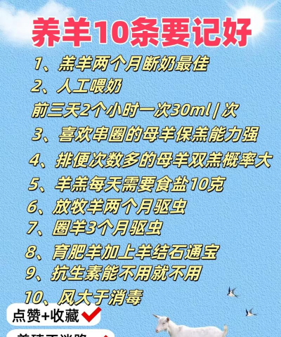 羊的养殖方法 羊的养殖方法