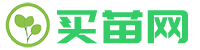 买苗网